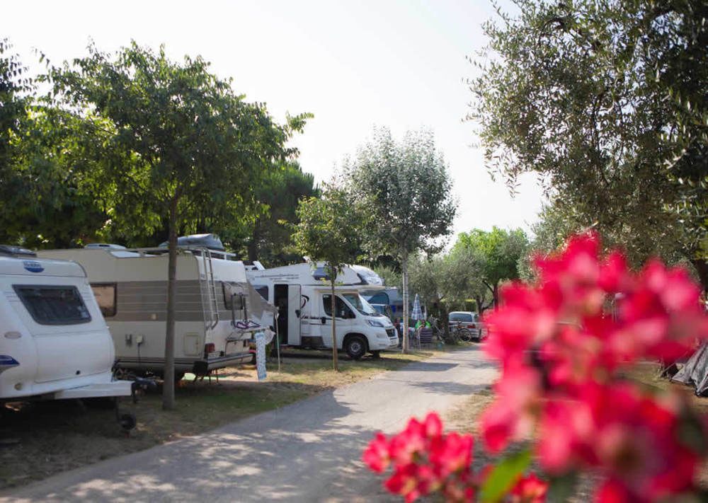 Camping Serenella Bardolino Dış mekan fotoğraf